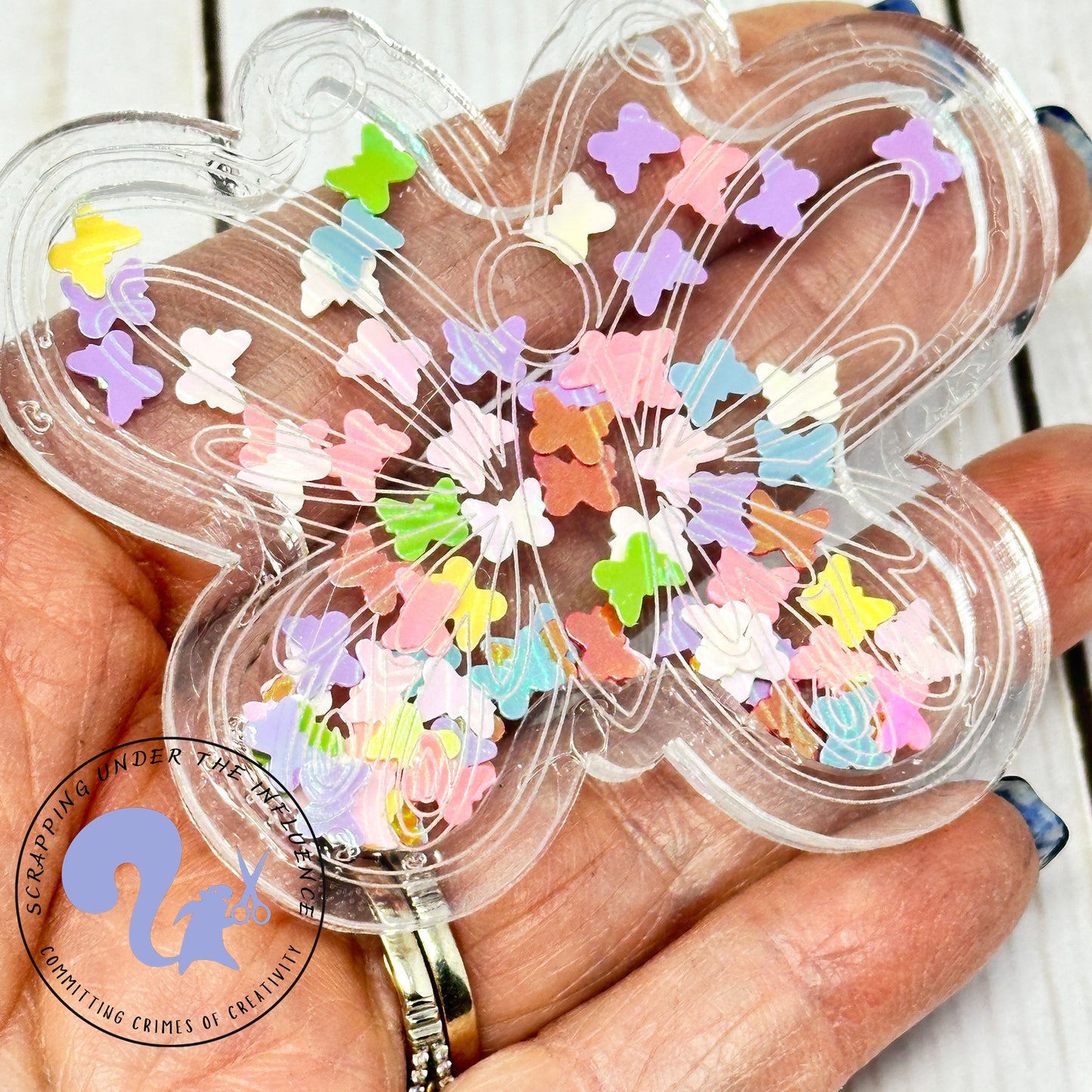 Butterfly Acrylic Shaker Kit