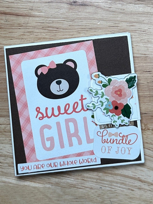 Album #16 - Baby Girl Brag Book